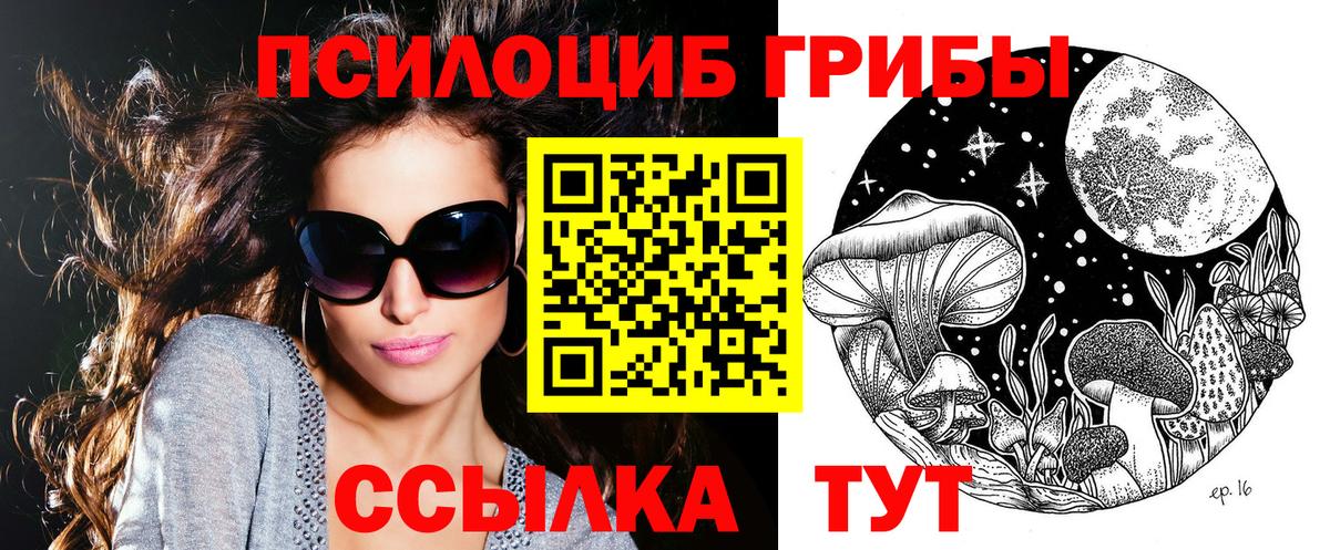 Псилоцибиновые грибы Cubensis Вязьма