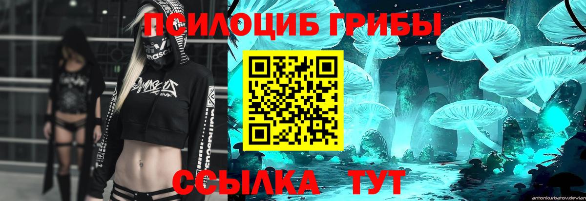 Галлюциногенные грибы ЛСД  Псилоцибиновые грибы мухоморы  Вход с VPN  Вязьма 